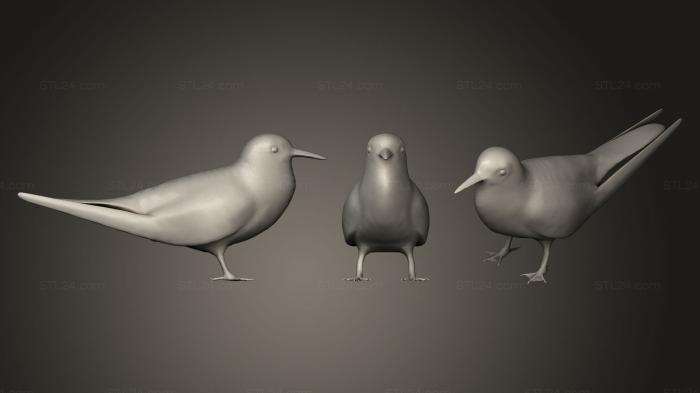 Toys (Common Tern, TOYS_0504) 3D models for cnc